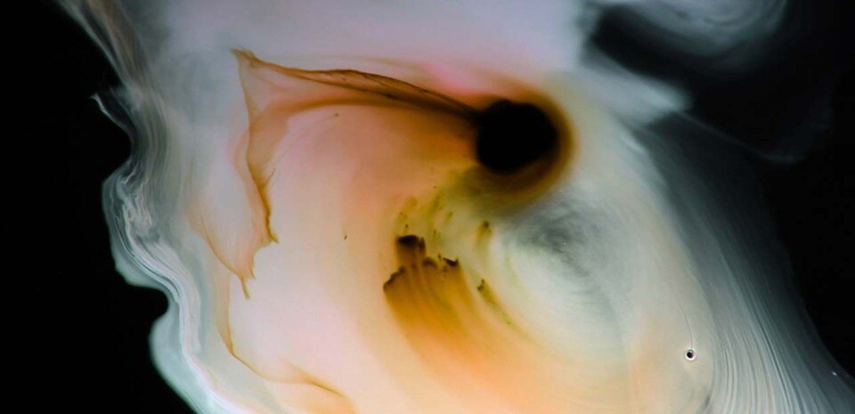 Danilo Correale, <i>NoMoreSleepNoMore</i>, Chapter 1 to 3, 2015. (still) video Full HD, Sound, 80’ min. Courtesy of the artist and Galleria Raucci/Santamaria