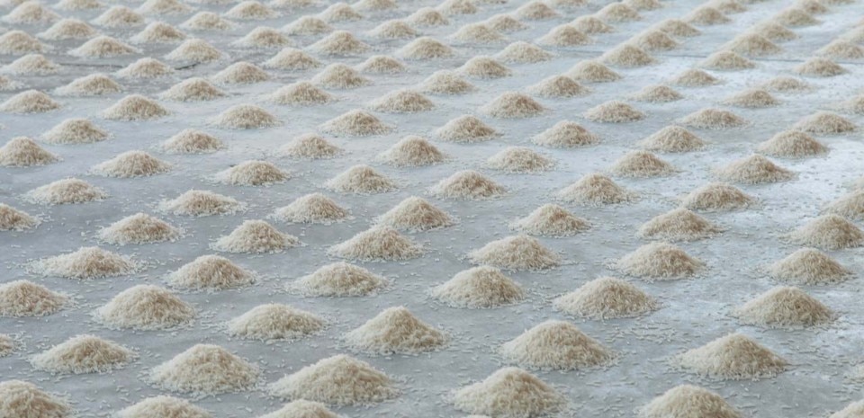 Wolfgang Laib, view of the exhibition at Fondazione Merz, Torino, 2009. Courtesy of the Artist