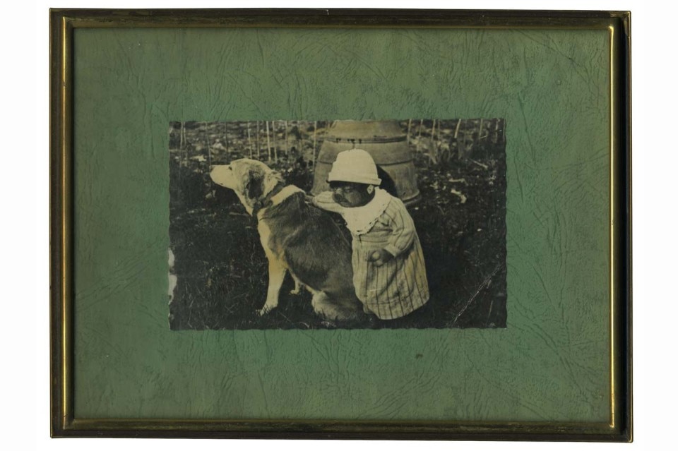 Moira Ricci, <i>La Bambina Cinghiale, Da buio a buio</i>