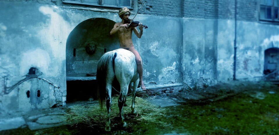 ConiglioViola, Le notti di Tino di Bagdad 