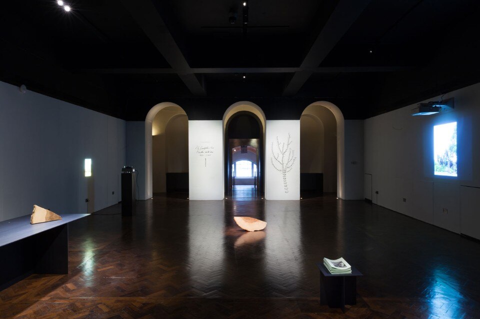 Max Lamb, My Grandfather’s Tree. View of the istallation at Somerset House, Courtesy of Angus Mill for Gallery FUMI