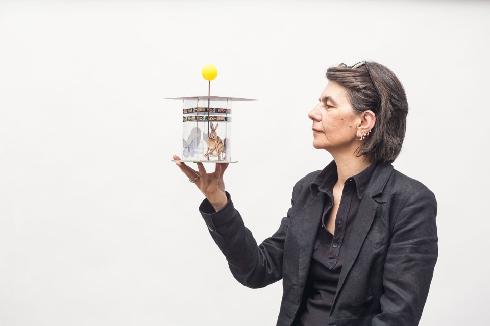 Liliana Moro, 29,88 KMQ, 2015, All’Aperto Fondazione Zegna. Photo by Delfino Sisto Legnani