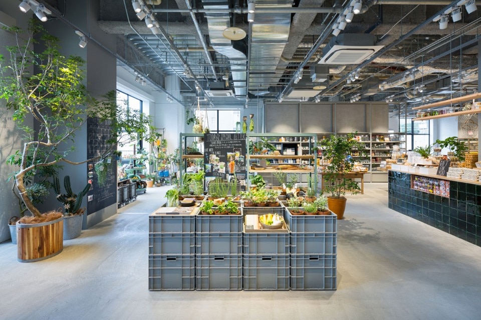 Schemata Architects, Today’s Special, Kyoto, Japan