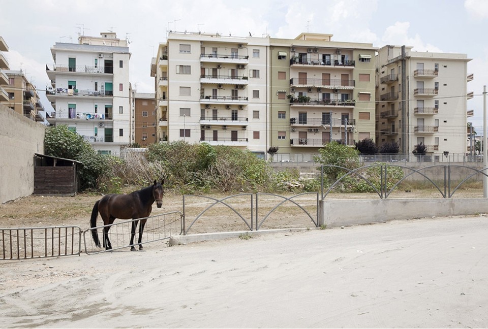 The Third Island. Giulia Ticozzi, Pentimele