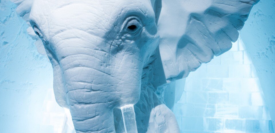 AnnaSofia Mååg, Elephant in the Room, Icehotel #26 
