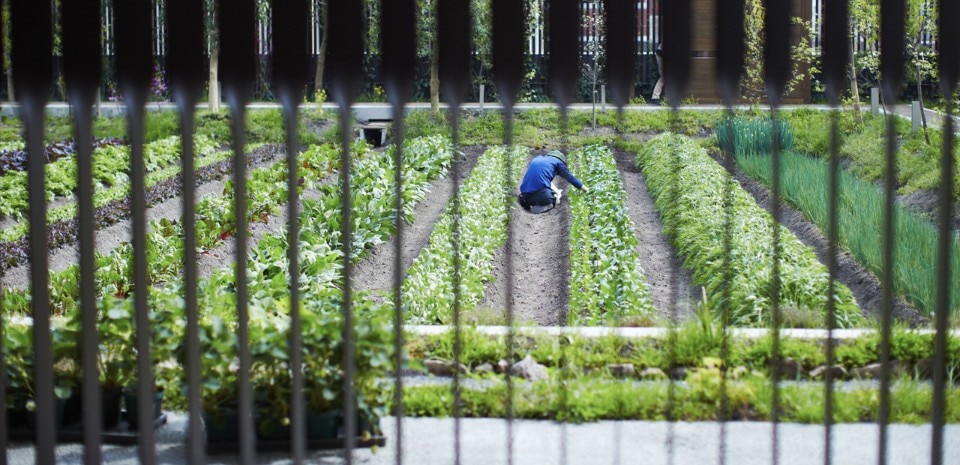Kajima Design, Kyoto Yaoichi Honkan, Kyoto, Japan