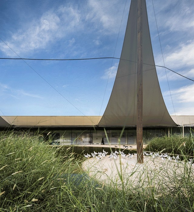 X-Architects, Centro educativo della riserva naturale di Wasit, Sharjah, Emirati Arabi, 2015
