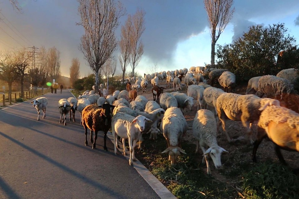 Institut Ramon Llull, "Aftermath Catalonia", Biennale di Architettura di Venezia 2016