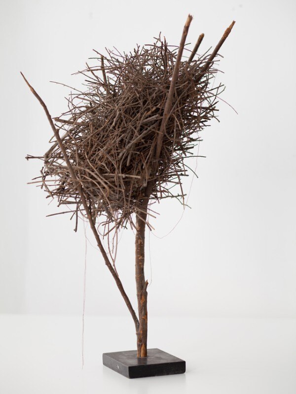 Padiglione Israele, Biennale di Architettura di Venezia 2016