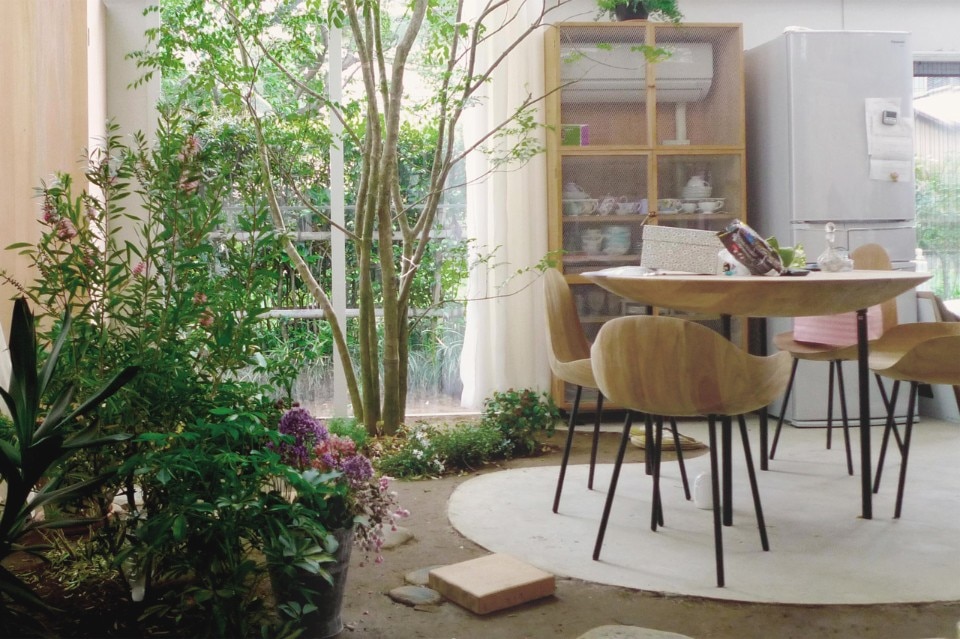 junya.ishigami+associates, Casa con piante, Tokyo 2010-2012 Veduta dell’interno