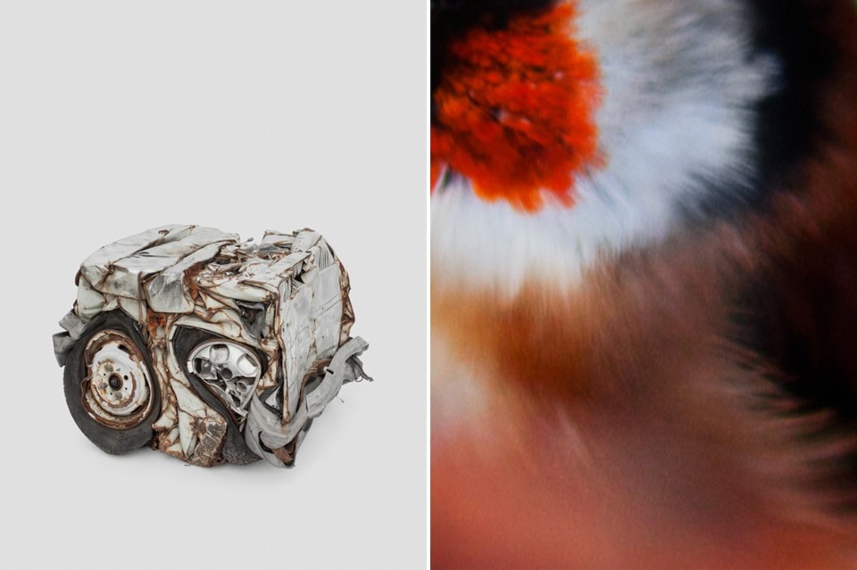 Maria Sturm e Cemre Yeşil, For Birds’ Sake, 2015. Courtesy l'artista