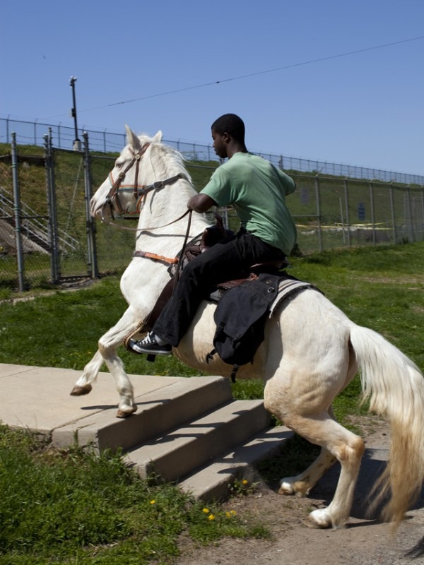 Mohamed Bourouissa, Senza titolo, da: Horseday (2013), stampa a colori cromogenica. Coll. Stedelijk Museum Amsterdam. © Mohamed Bourouissa