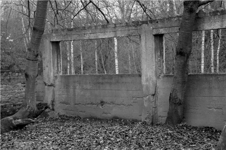 Giovanni Marinelli, Memories, Marcinelle, 2016