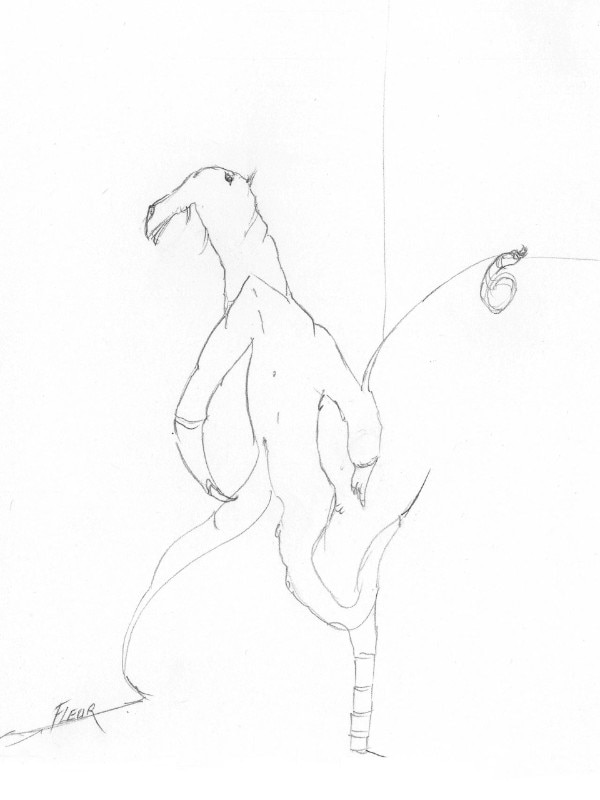 Fleur Jaeggy. Opere su carta. 2016