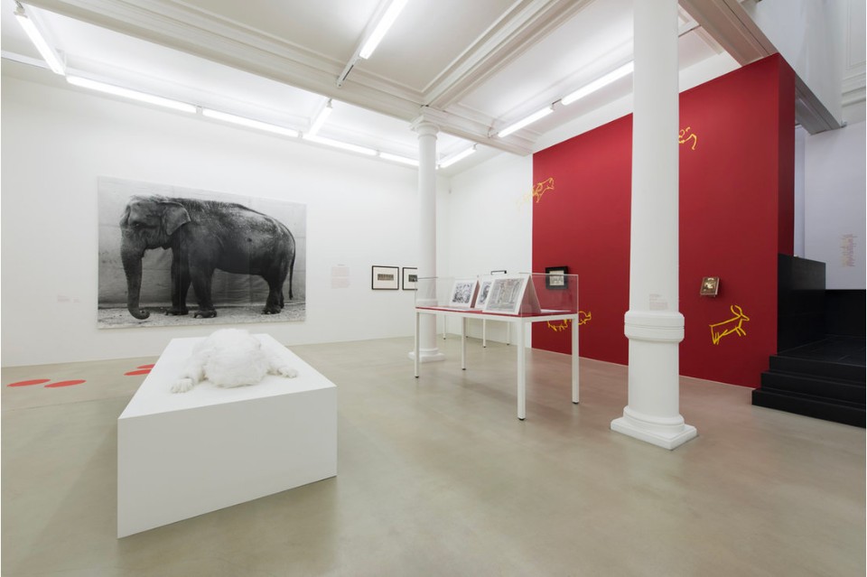 Animality, veduta dell'installazione alla Marian Goodman Gallery, Londra, 2016