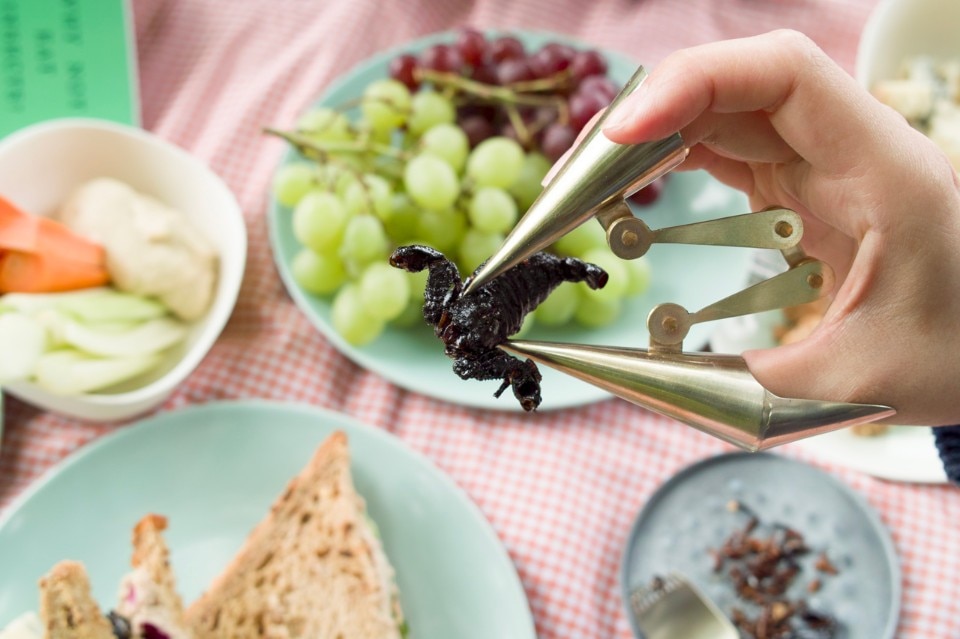 Wataru Kobayashi, BugBug, set di posate per mangiare insetti