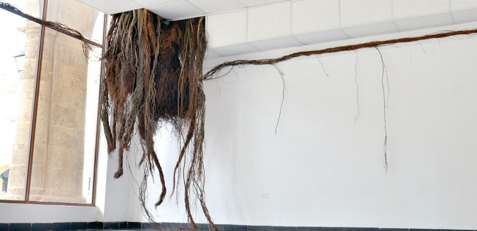 José Yaque, Raíces de biblioteca, La Habana, Cuba, 2013