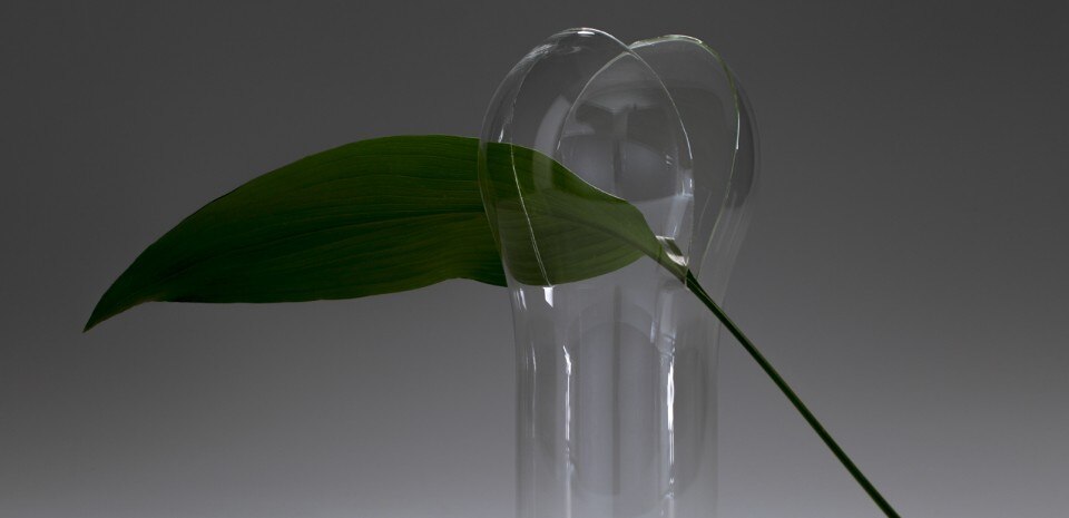 Da Vetro, Fabrica, Quentin Vuong, bud 2016