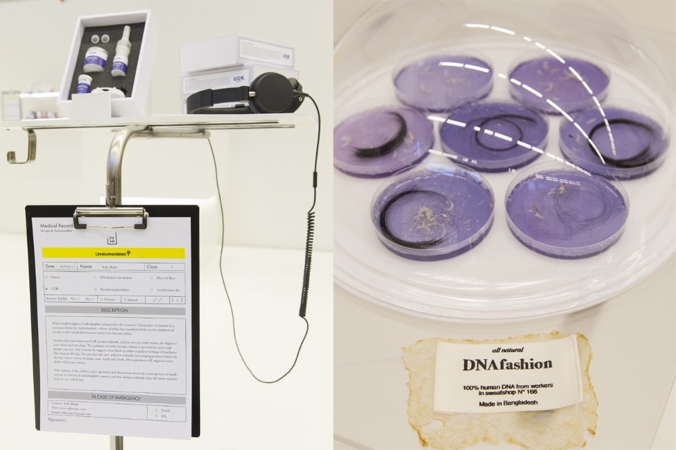 LNU Lab, UOK e DNA Fashion, 2017