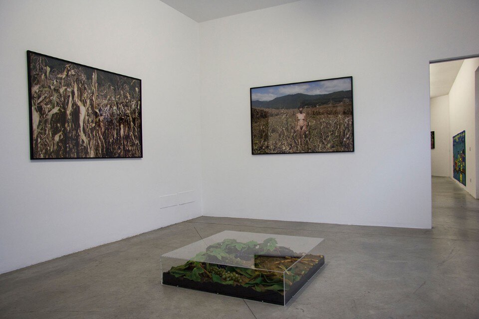 Regina José Galindo, Piero Gilardi, "Il teatro subalterno", veduta della mostra, Prometeogallery, Milano 2017