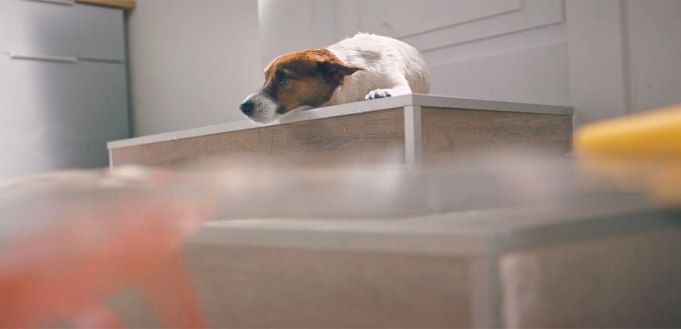 GROHE Sense e GROHE Sense Guard