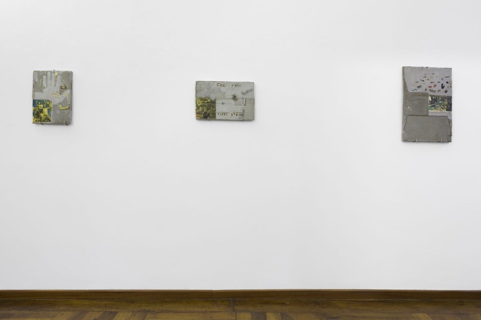 Matheus Rocha Pitta, vista dell’installazione alla Galleria Alberto Peola, 2017