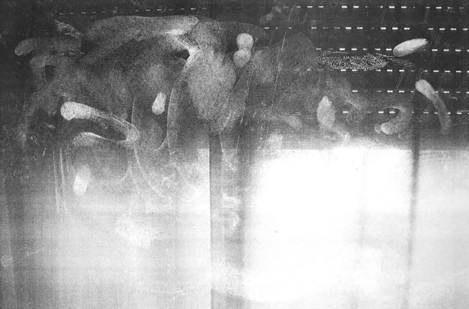 Gianluca Codeghini, At the source of noise, #12, 1996. Unfixed dust images