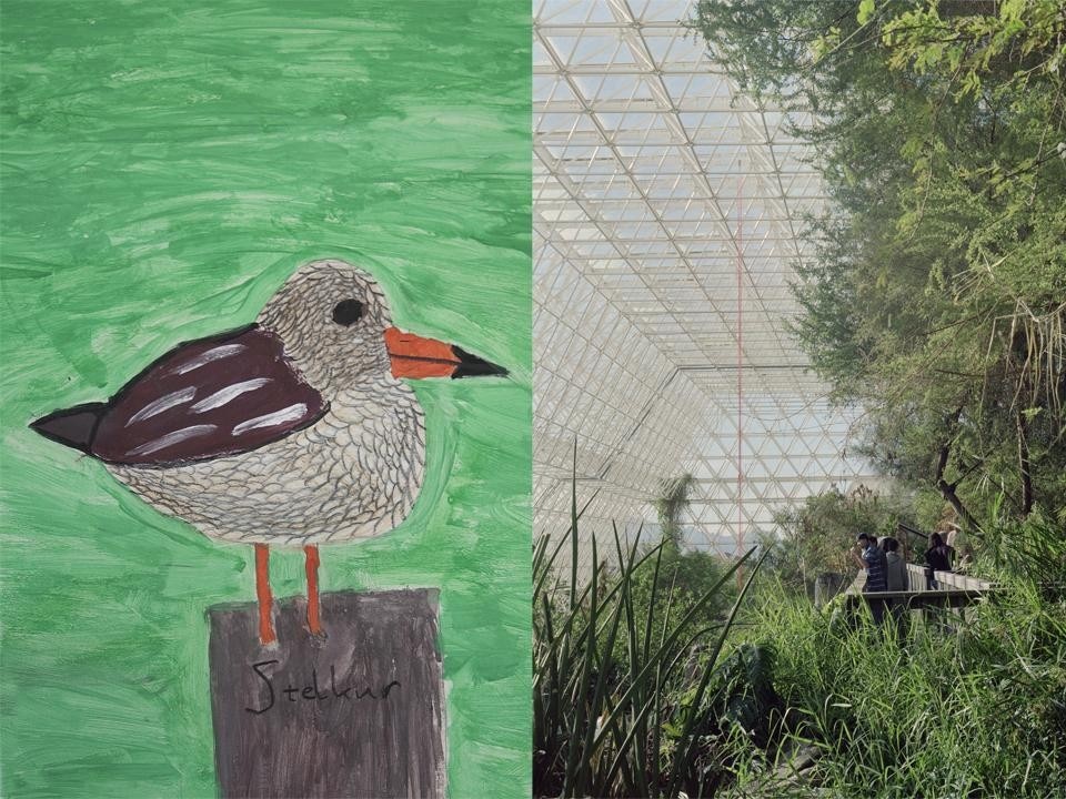 Judy Natal, <i>Future Perfect 2010</i>: Kid’s Drawing Stelkur (sinistra) e Ocean View (destra).