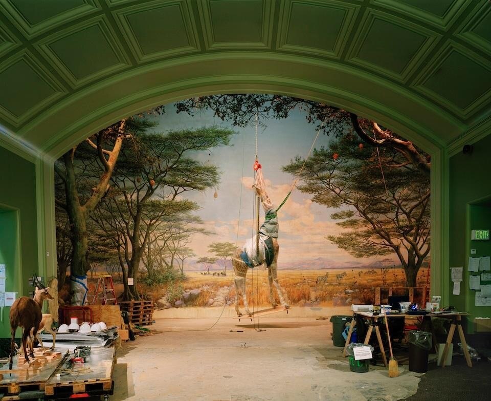 Foto di apertura: Richard Barnes, <i>Unabomber Cabin</i> - Sacramento, CA, 1998. Stampa a colori, prestito di Andrew Liang.
Qui sopra: <i>Giraffe</i>, 2005. C-print, dalla serie <i>Animal Logic</i>, courtesy Blue Sky Gallery.