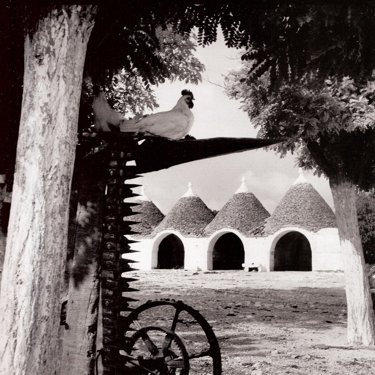 Fotografie Mediterranee