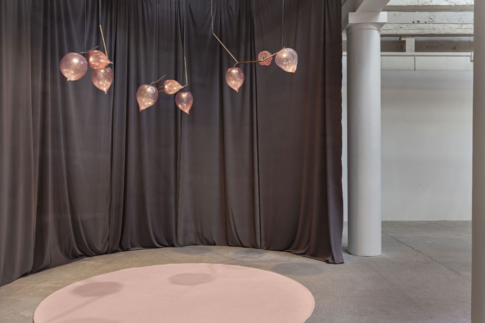 Physalis di Cristina Celestino