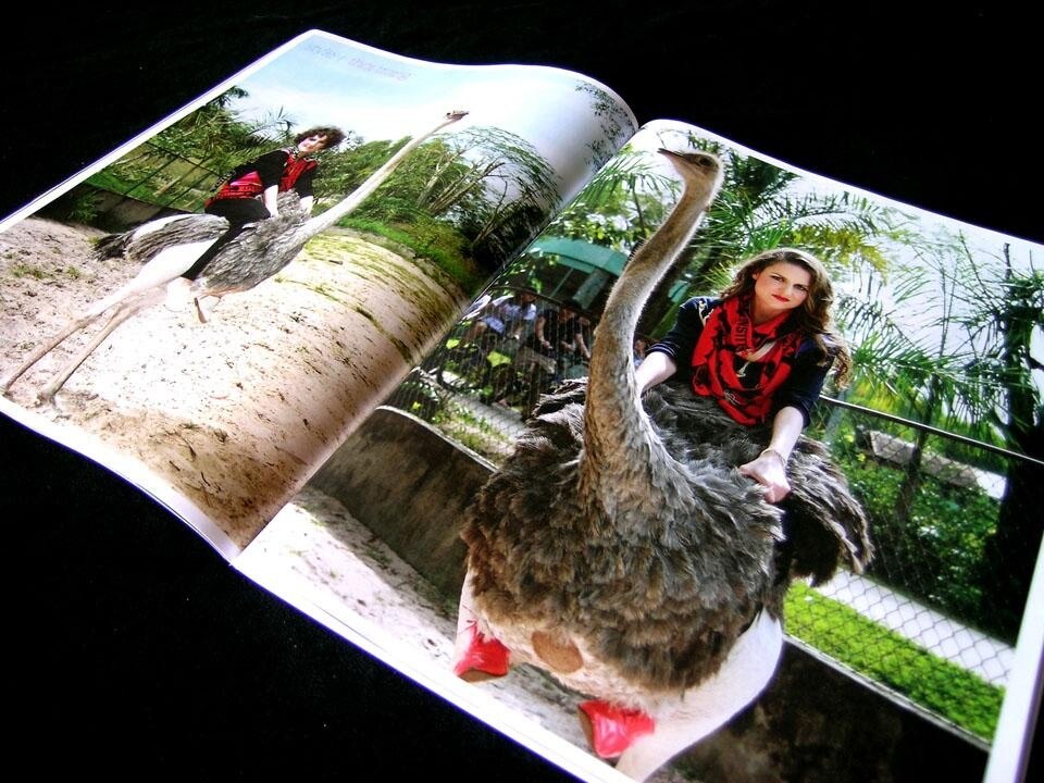 Doppie pagine da <i>Das Institut: Ringier Annual Report 2010</i>, di Kerstin Brätsch e Adele Röder.