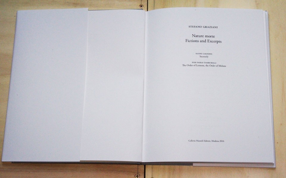 Stefano Graziani, <i>Nature morte</i>, Galleria Mazzoli Editore, Modena 2016. Stefano Graziani, <i>Nature morte</i>, Galleria Mazzoli Editore, Modena 2016.