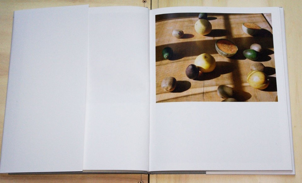 Stefano Graziani, <i>Nature morte</i>, Galleria Mazzoli Editore, Modena 2016. Stefano Graziani, <i>Nature morte</i>, Galleria Mazzoli Editore, Modena 2016.
