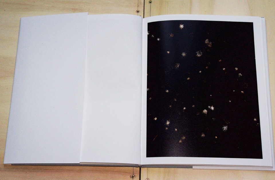 Stefano Graziani, <i>Nature morte</i>, Galleria Mazzoli Editore, Modena 2016. Stefano Graziani, <i>Nature morte</i>, Galleria Mazzoli Editore, Modena 2016.