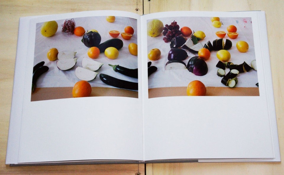Stefano Graziani, <i>Nature morte</i>, Galleria Mazzoli Editore, Modena 2016. Stefano Graziani, <i>Nature morte</i>, Galleria Mazzoli Editore, Modena 2016.