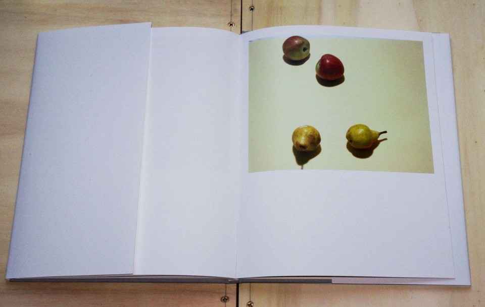 Stefano Graziani, <i>Nature morte</i>, Galleria Mazzoli Editore, Modena 2016.