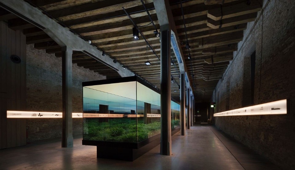 “Vértigo Horizontal”, Venice Biennale 2018. Photo Federico Cairoli