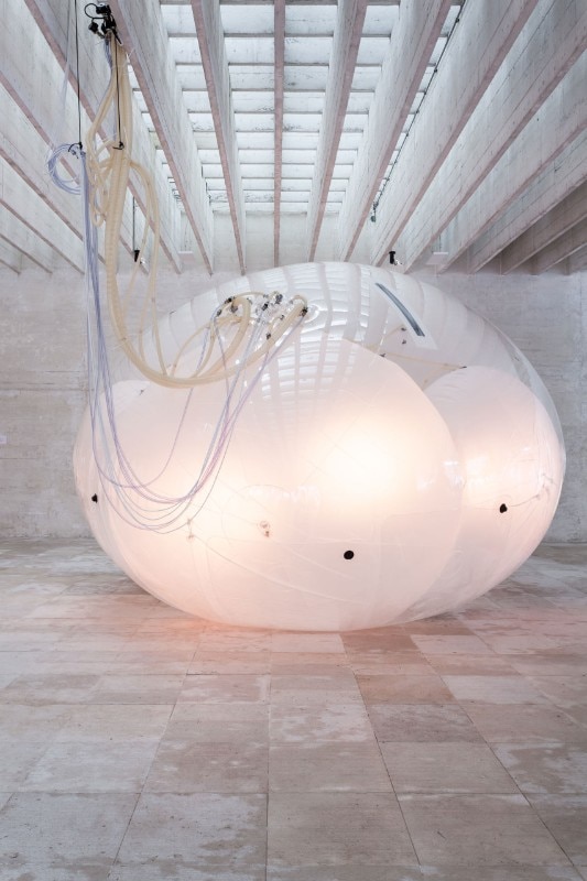 Nordic Pavilion, Another Generosity, Venice Biennale 2018 Nordic Pavilion, Another Generosity, Venice Biennale 2018