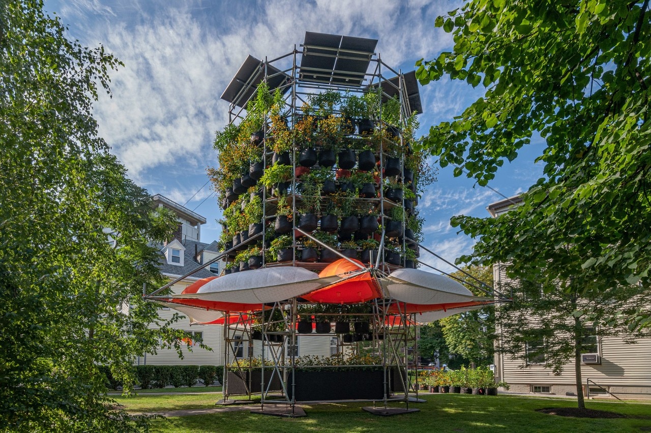 Modular plant tower mitigates effects of climate crisis at Harvard Domus