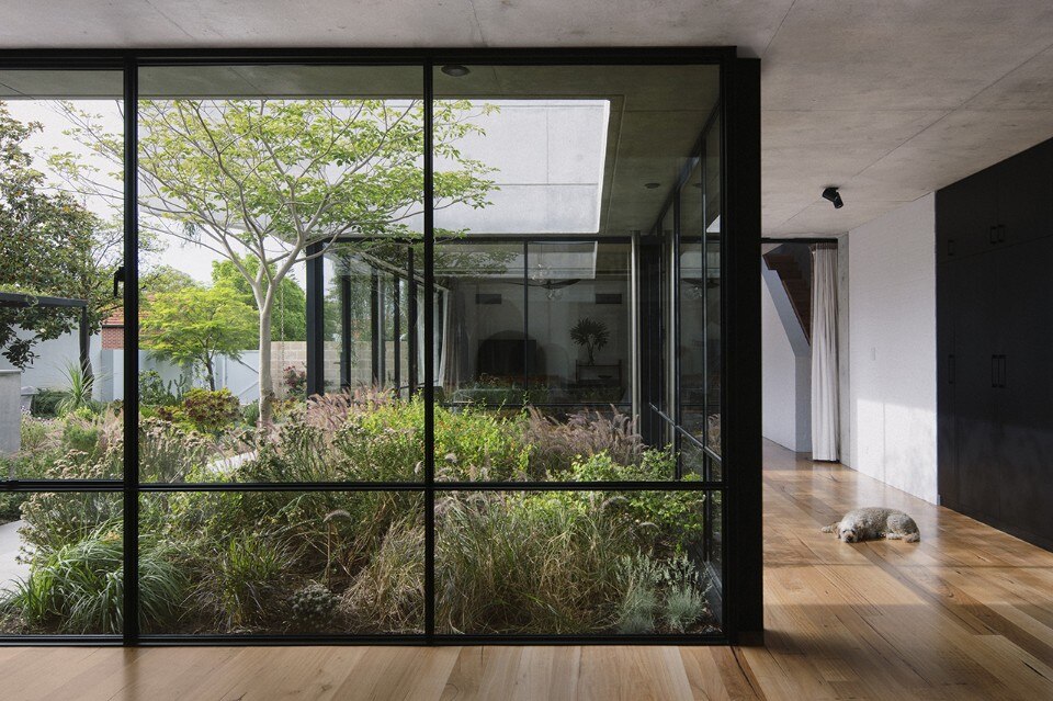 An ancient and contemporary house in the Australian suburbs