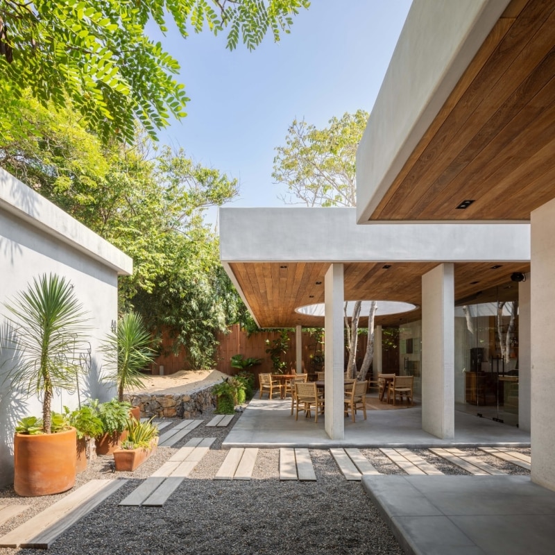 The architecture of a break: Faci Leboreiro’s café designed around trees