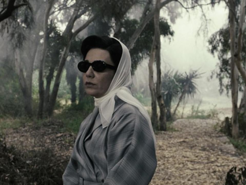 Shirin Neshat, Women without men Shirin Neshat, Women without men