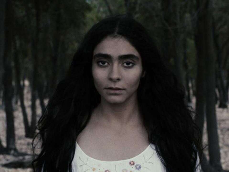 Shirin Neshat, Women without men Shirin Neshat, Women without men