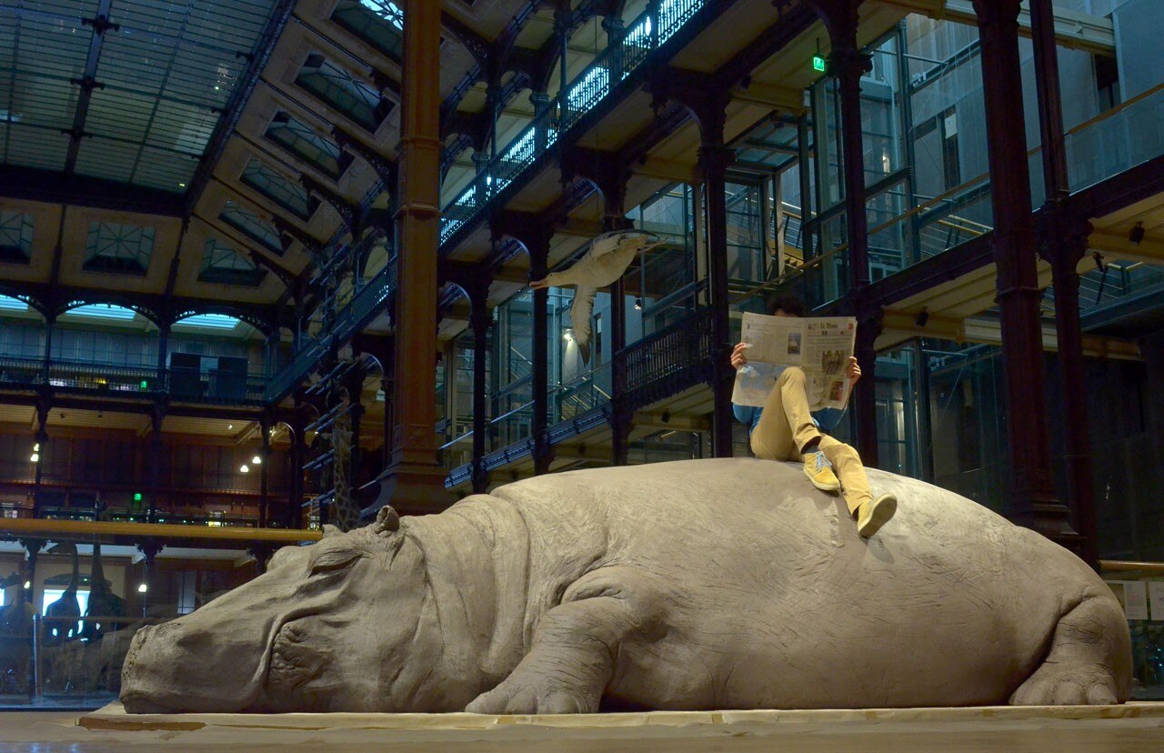 Jennifer Allora and Guillermo Calzadilla, <i>Hope Hippo</i>, Muséum national d’Histoire Naturelle. Photo Vincent Pontet Jennifer Allora and Guillermo Calzadilla, <i>Hope Hippo</i>, Muséum national d’Histoire Naturelle. Photo Vincent Pontet