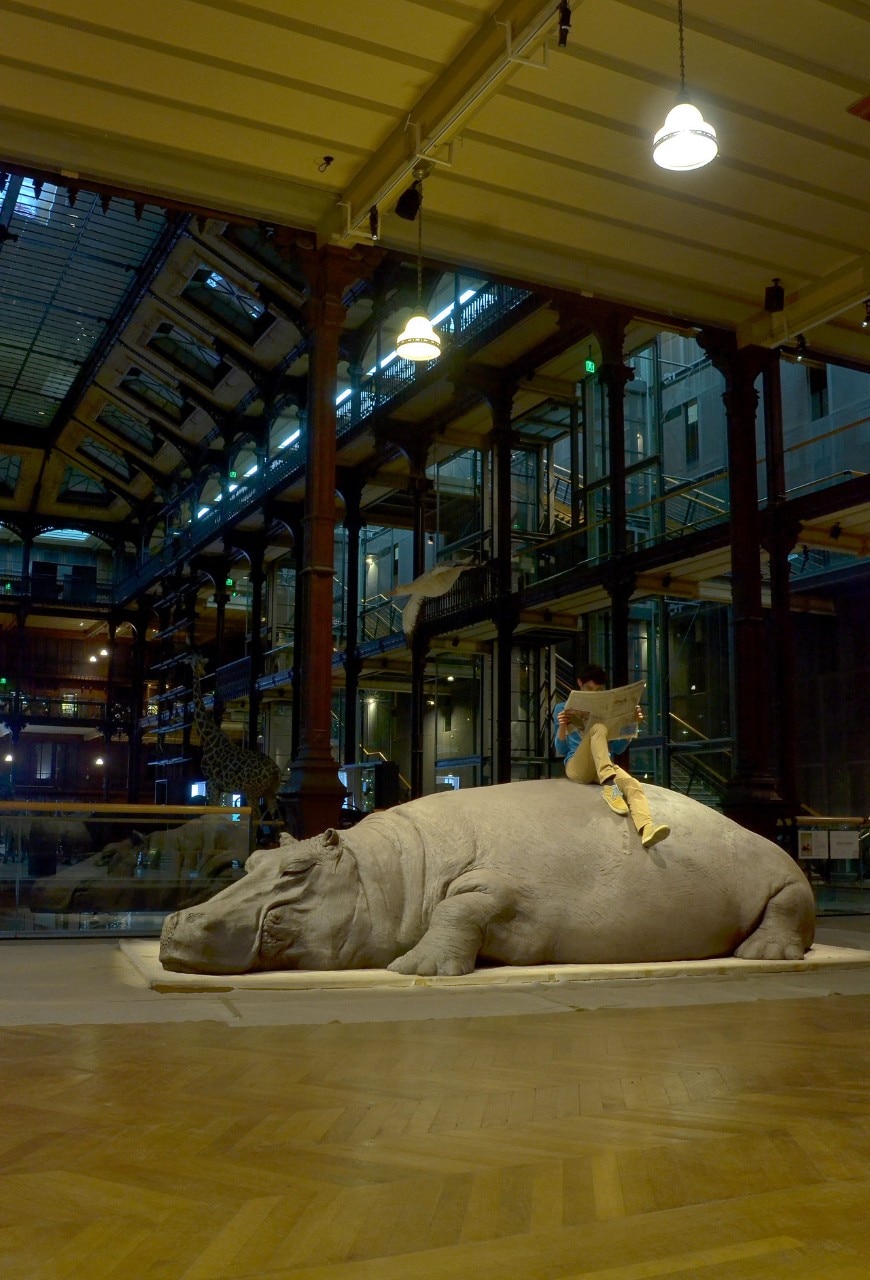 Jennifer Allora and Guillermo Calzadilla, <i>Hope Hippo</i>, Muséum national d’Histoire Naturelle. Photo Vincent Pontet Jennifer Allora and Guillermo Calzadilla, <i>Hope Hippo</i>, Muséum national d’Histoire Naturelle. Photo Vincent Pontet