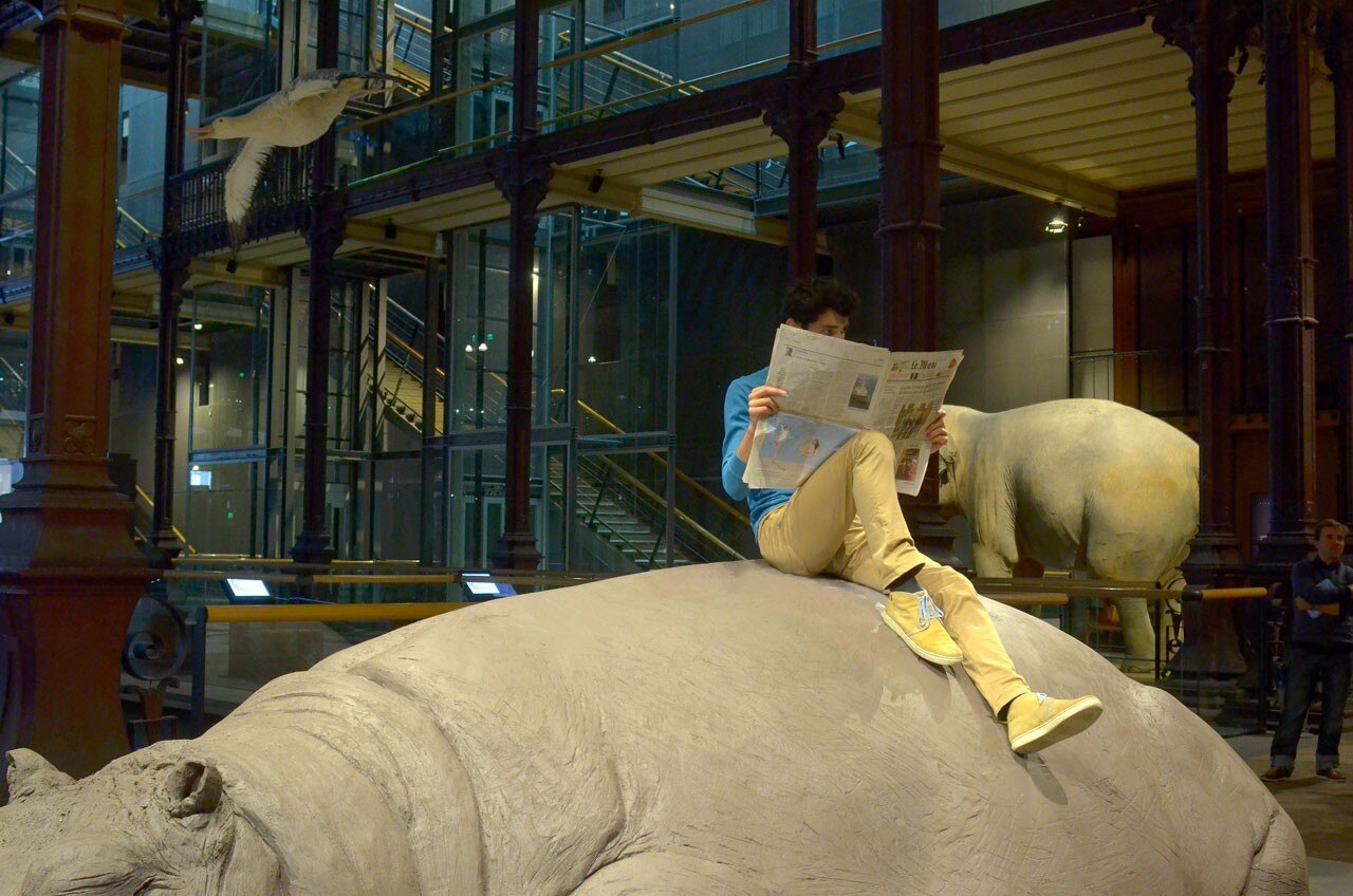 Jennifer Allora and Guillermo Calzadilla, <i>Hope Hippo</i>, Muséum national d’Histoire Naturelle. Photo Vincent Pontet Jennifer Allora and Guillermo Calzadilla, <i>Hope Hippo</i>, Muséum national d’Histoire Naturelle. Photo Vincent Pontet