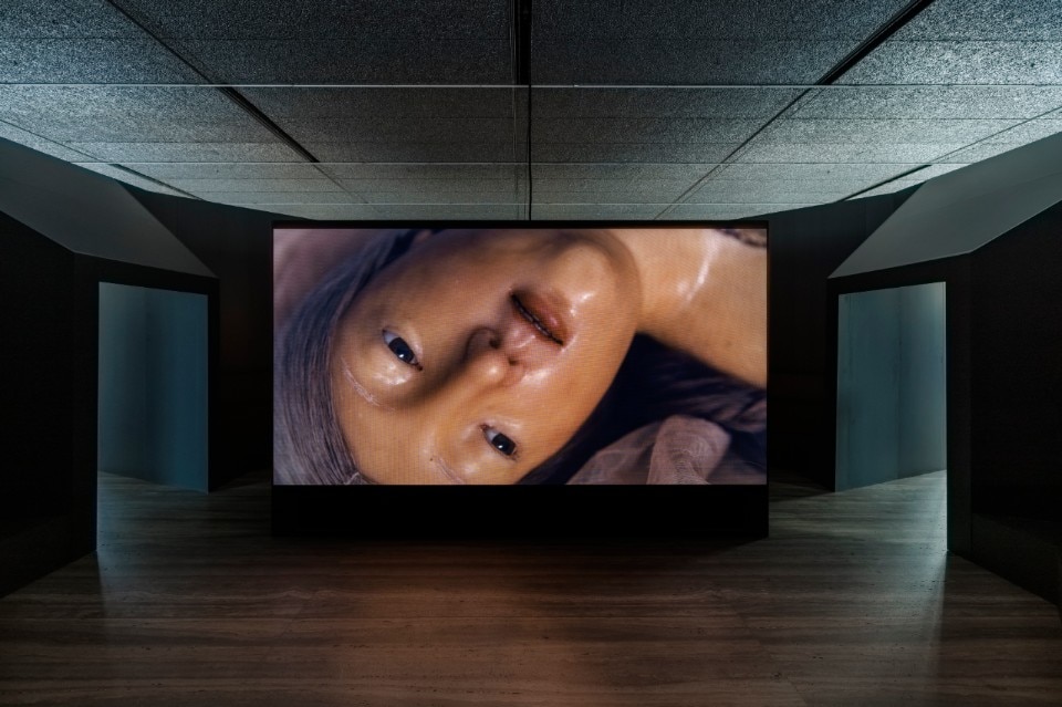 David Cronenberg, La Specola’s anatomical waxes and Fondazione Prada