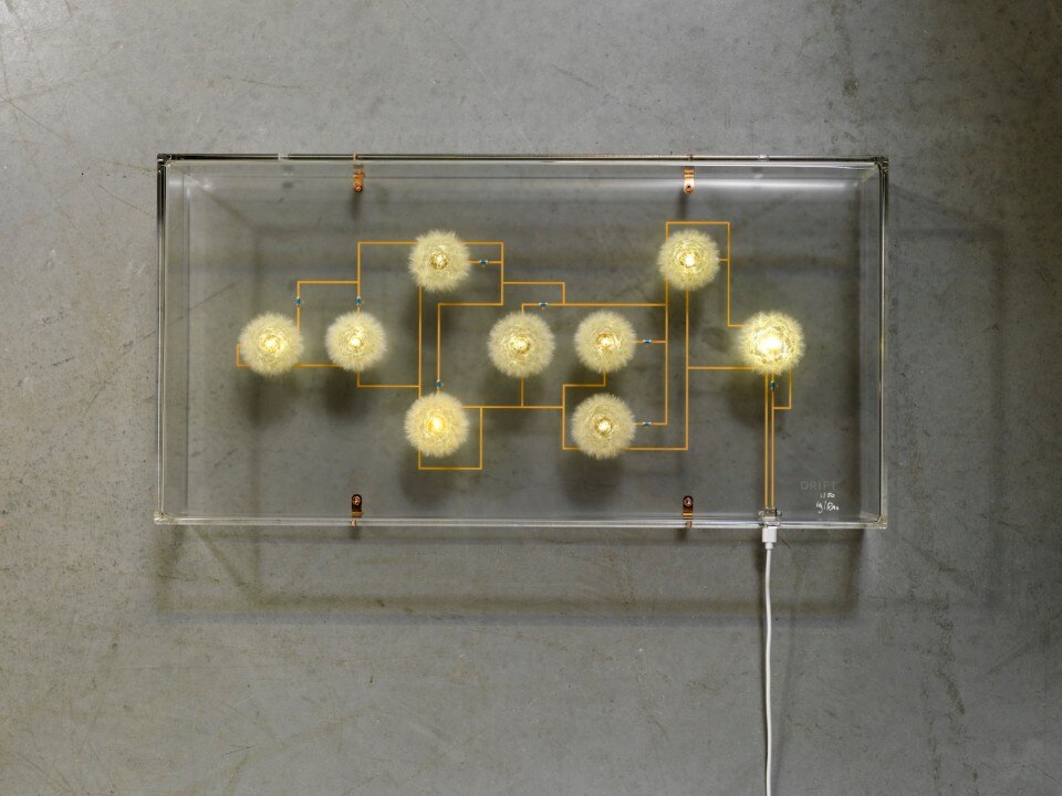 Studio Drift re-proposes luminous dandelions. And it is immediately soldout