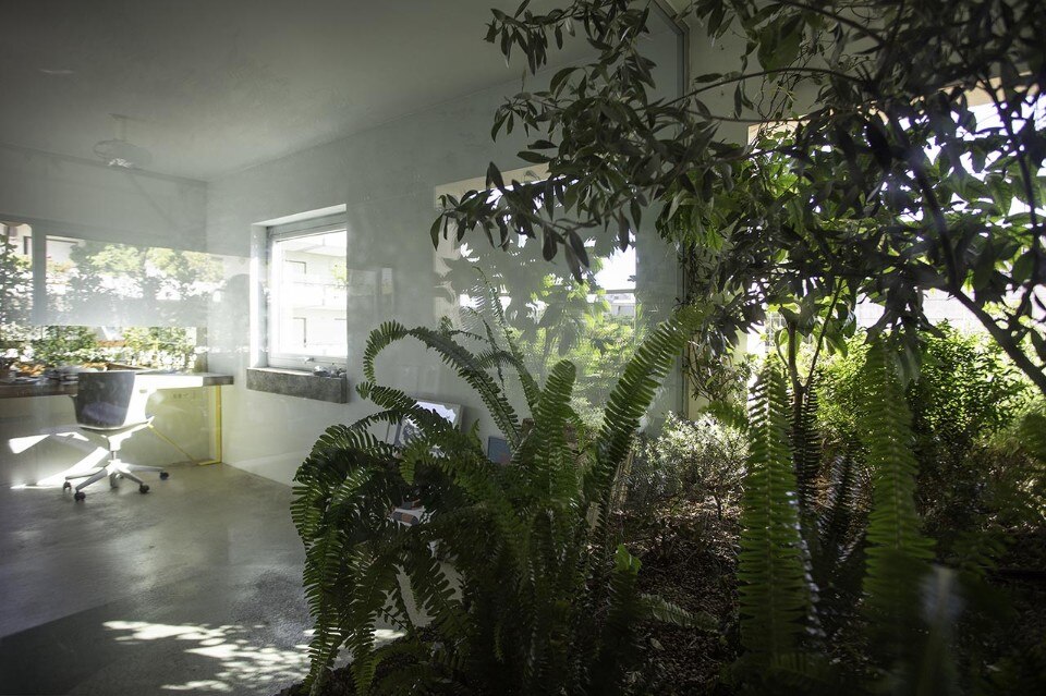 The indoor greenhouse of a living room in Athens